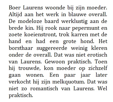 boer Laurens